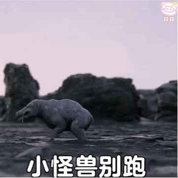 奥特曼表情包。要相信光。，微信头像，奥特曼表情包。要相信光。（超可爱奥特曼幼崽的表情包）