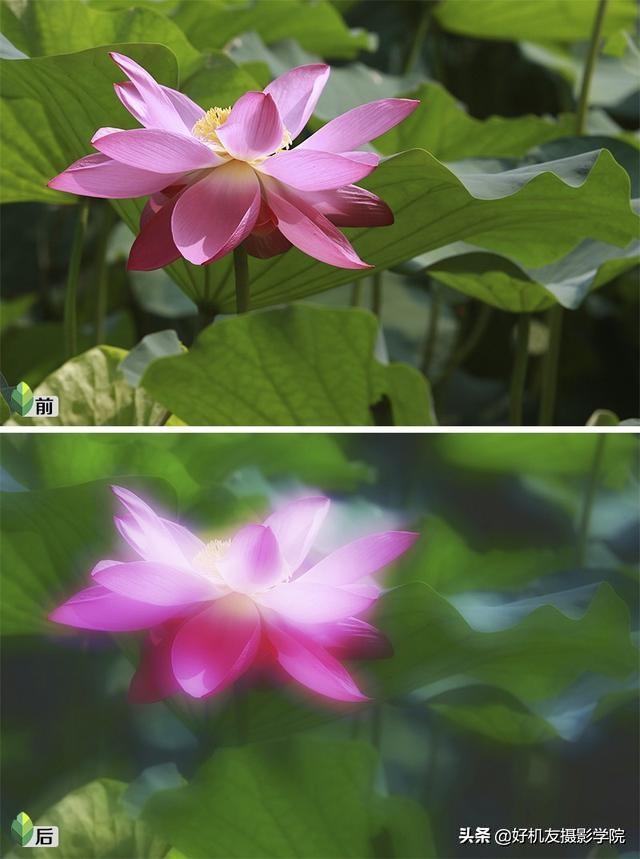 如何将照片制作黑白剪影的效果，照片怎么做成黑白剪影（如何用snapseed将手机照片制作成为图中图的二次曝光剪影效果）