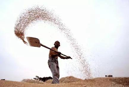 农具大全名称加图片，农具名称图解（过去夏收季节常用的10种农具）