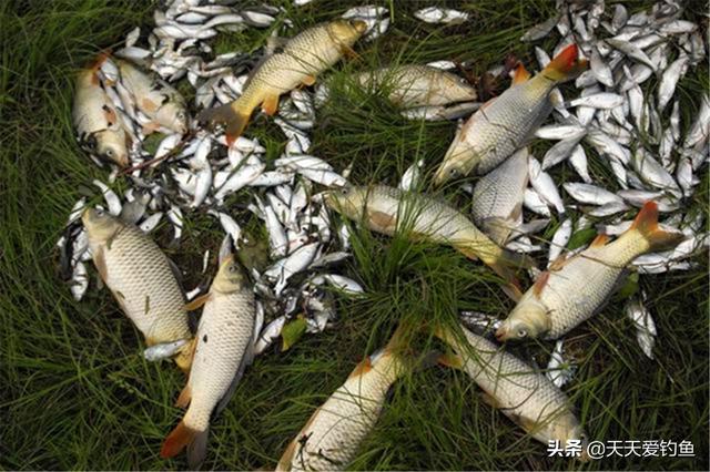 秋季南风天钓鱼怎么选钓位，注意钓法要能“防风”
