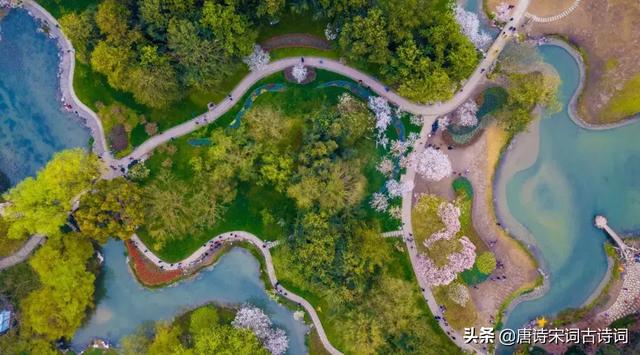 今日逢君不识君下句，今日逢君君不识下一句（诗词丨最是时光留不住）