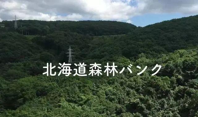 山崎威士忌为什么贵，世界上最著名的四大威士忌（为什么用过它的烈酒都身价飙升）