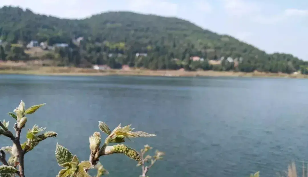 南部升钟湖免费钓鱼好去处，离你最近的休闲垂钓胜地，畅享自然乐趣