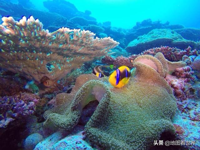 帕劳是什么国家，帕劳是什么国家帕劳人口面积（潜水胜地、上帝的水族馆、珊瑚伊甸园—帕劳是一个怎样的国家）