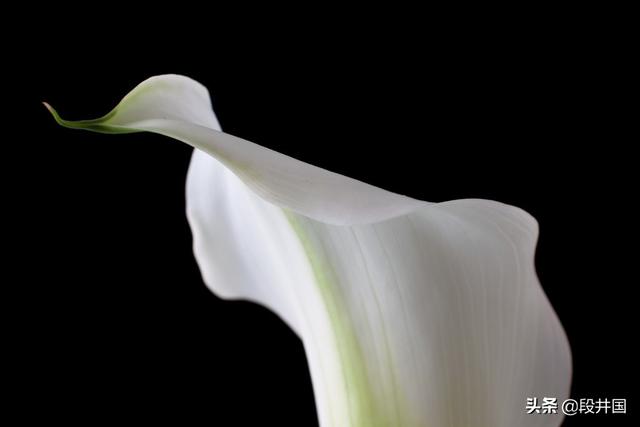 请问蚂蚁借呗怎么还款，借呗还款怎么还款（借呗突然被关闭一分钟读懂借呗还款潜规则）