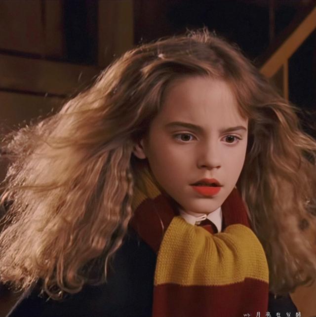 赫敏·格兰杰小天使［哈利.波特］，哈利波特女主角赫敏格兰杰（小赫敏感觉毛茸茸的图片）