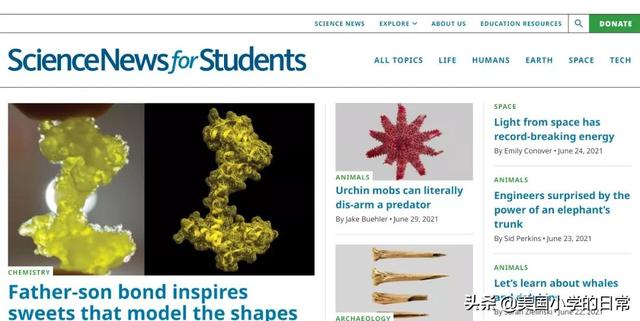 背单词网站，背单词app（孩子暑假每一天都过得有意义）