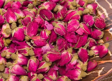 月季花有什么特点，月季花有什么特点长什么样子（月季、蔷薇和玫瑰傻傻分不清楚）