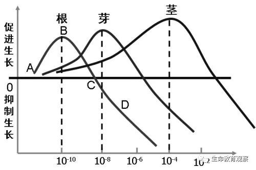 内环境的组成成分，内环境的组成成分含义（高三一轮复习必修三细节梳理和重点题型）