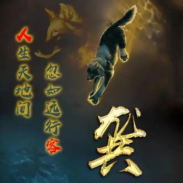 狼图片头像 凶猛 霸气 冷酷，100张姓氏霸气狼头像（100张“血性狼”姓氏头像、送给在困境中坚持梦想的你）