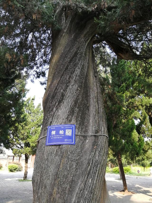 东汉天降陨石，刘秀坟的传说