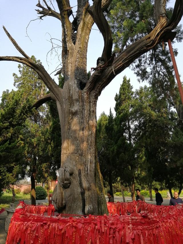 东汉天降陨石，刘秀坟的传说