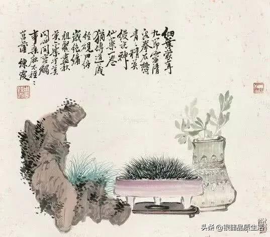 蒲可以怎么组词，蒲字怎么组词（一株蒲，一室香）