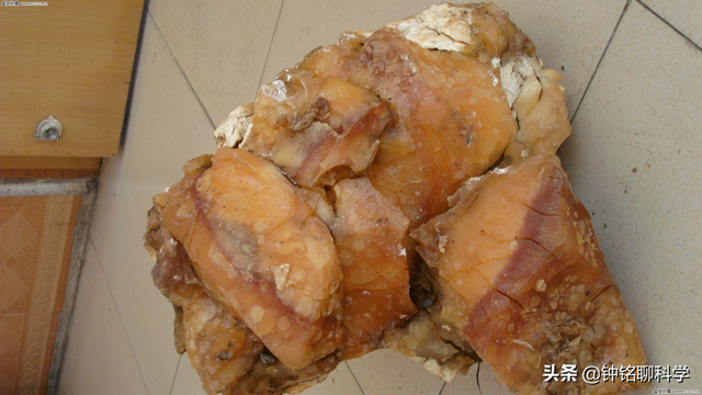 太岁是什么东西，太岁是什么东西图片（捡到的太岁为何还能继续生长）