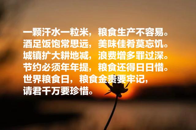 拒绝浪费粮食的句子，关于拒绝浪费粮食的短句（分享十句关于珍惜粮食语录）