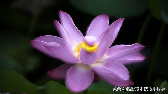 曝光是什么意思，违法曝光是什么意思（用简单通俗的语言告诉你拍摄技法）