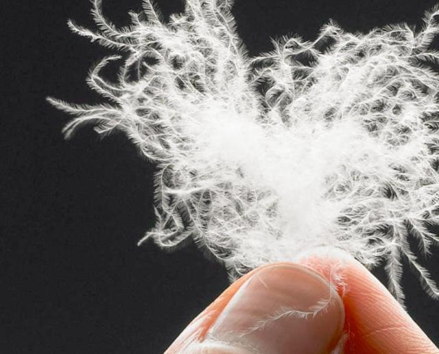 酒店的床垫为什么那么舒服，酒店的床垫为什么睡得舒服（为什么睡五星级酒店比在家睡舒服）