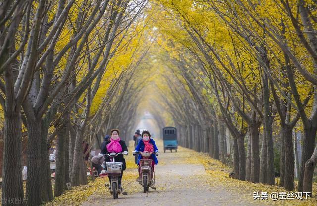 江苏省邳州市属于哪个市，江苏省邳州市属于哪个市-（中国百强县<县级市>）