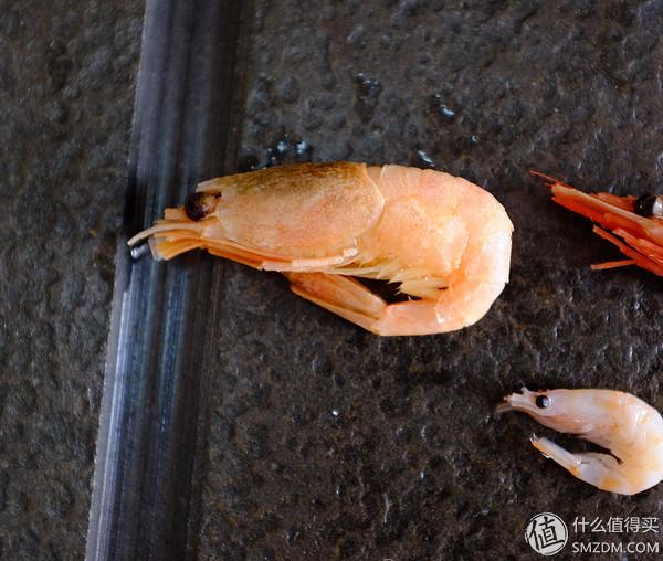 虾有多少品种，淡水虾有哪些品种（虾类双11购买攻略富山虾）