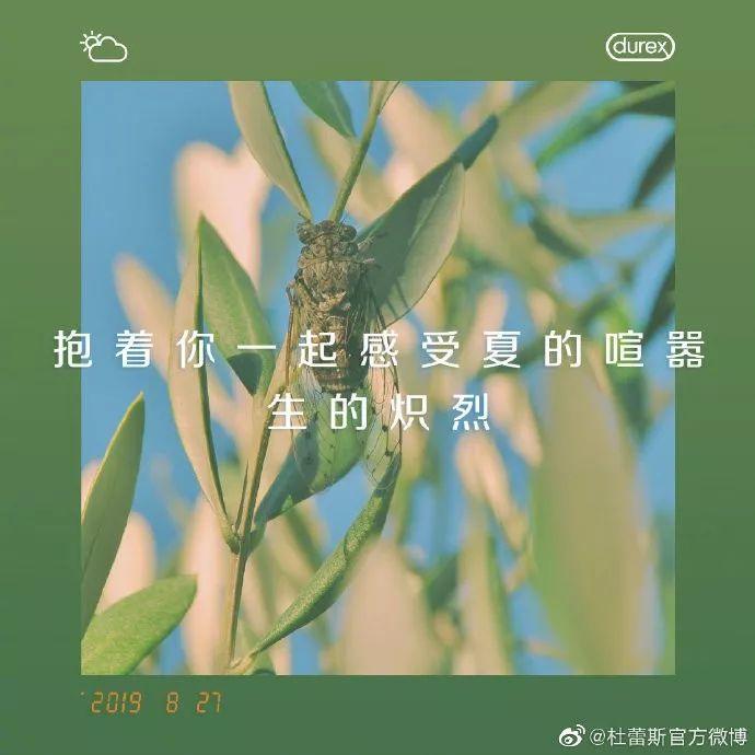 714是什么情人节，714爱情暗语是什么意思（杜蕾斯七夕文案上热搜）
