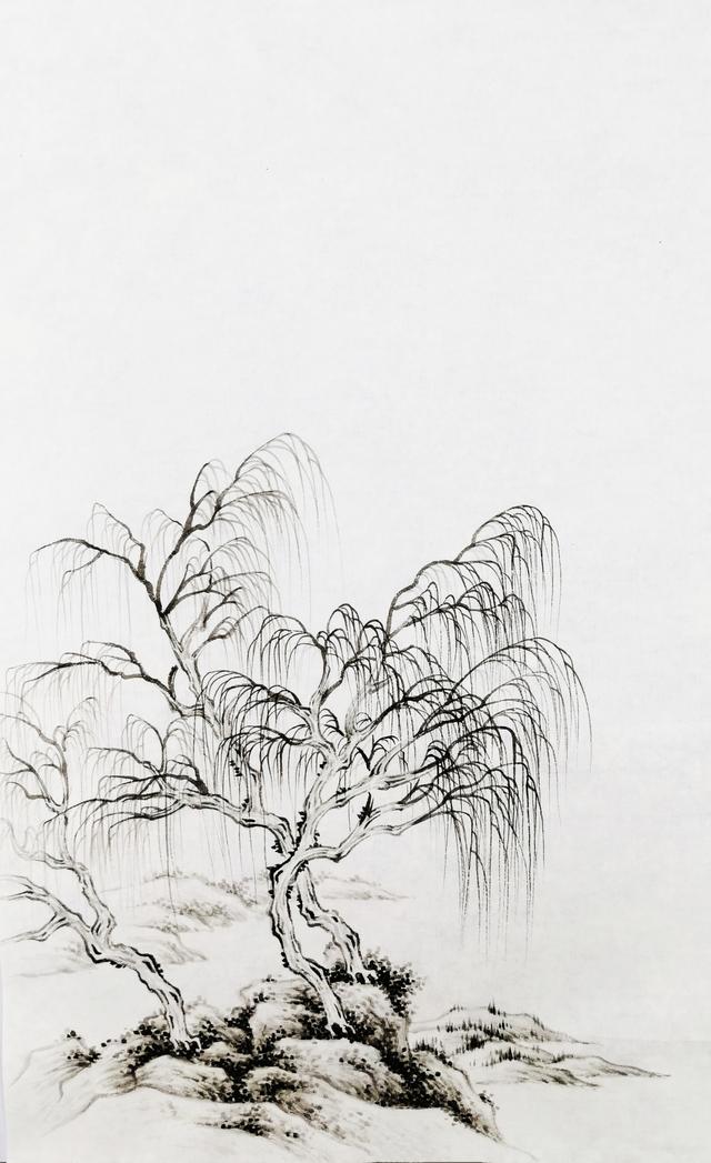画柳树的画法，山水画中柳树的画法