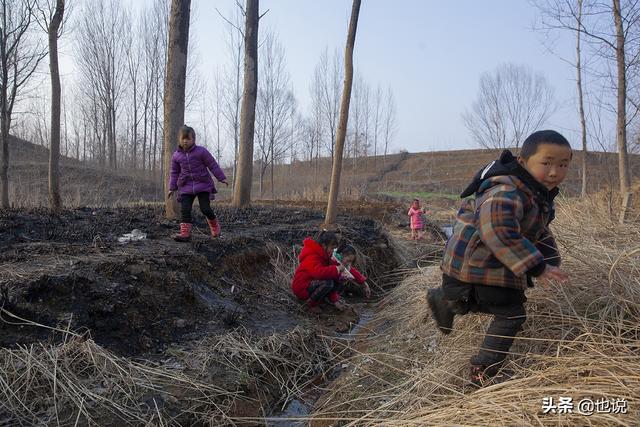 马虾怎么养，大马虾的养殖技术（你小时候也这么不怕冷吗）