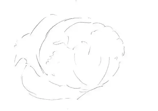画素描步骤有几个，画一幅素描的基本步骤（零基础，也能画好的素描教程）