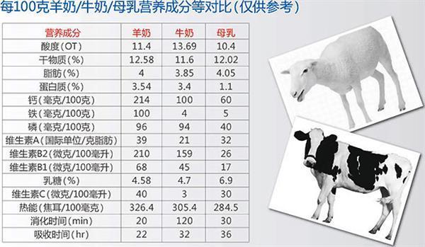 猫可以喝人的纯牛奶么，猫咪可不可以喝纯牛奶（宝宝都能喝的牛奶小猫却不能喝）