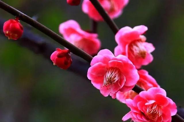 春的故事，春的故事 方鸿渐第一版主（《春天的故事》<原创文>）