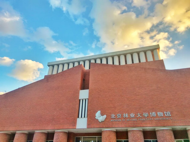 北京林业大学图书馆，北京林业大学怎么样（来北京旅游不可错过的5处经典标志性“景点”）