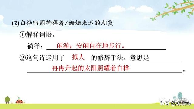 悠扬的近义词，“悠扬”的近义词是什么（四年级下册语文第11课《白桦》图文详解及同步练习）