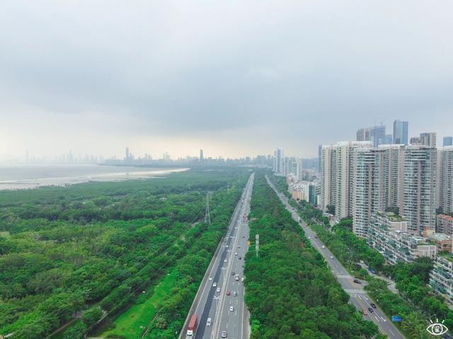 深圳十大免费景点，深圳十大必玩免费景点排名