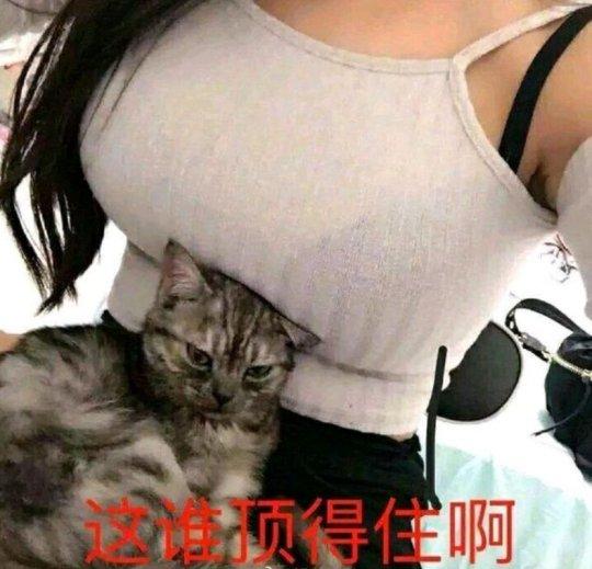 玩游戏赚钱的平台(赚钱秒到账的游戏)