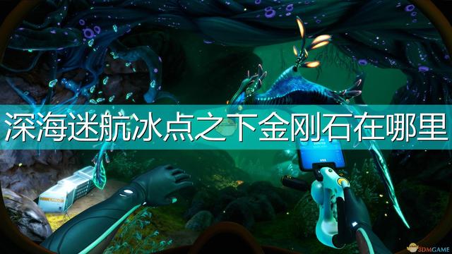 深海迷航钻石在哪,深海迷航钻石在哪里比较简单获得(冰点之下》金刚石