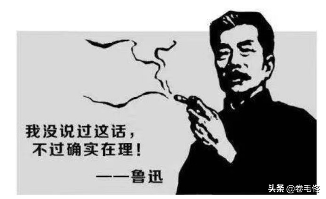 视频搜索网站，全网视频搜索网站（5个高质量免费视频下载网站）