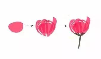 花蕾和花蕊有什么区别，花与花蕾的区别（花朵与花苞的处理）