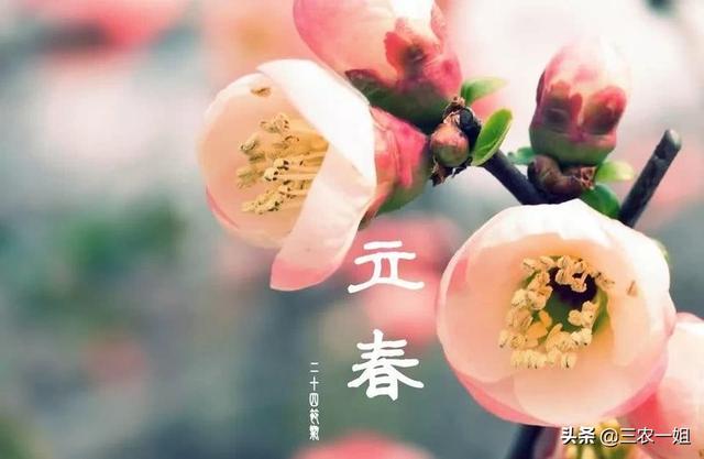 2021年10月份搬新房黄道吉日 2021年10月份哪天搬家最好最吉利，2021年10月份搬新房黄道吉日（老话“立春三要吃三不做”是指哪些）