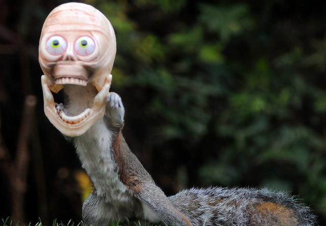 锦心似玉秦姨娘，锦心似玉秦姨娘的真实身份是什么（《锦心似玉》原著秦姨娘的结局）