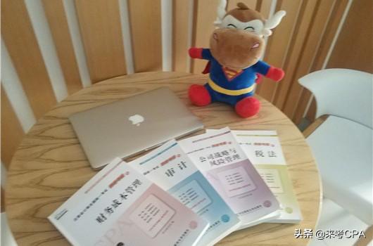 注册会计师工作内容（注册会计师从事什么工作）