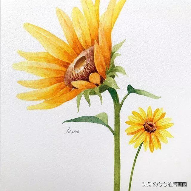 简单的花怎么画，玫瑰花画法（3个简单步骤教你画出一朵小花花）