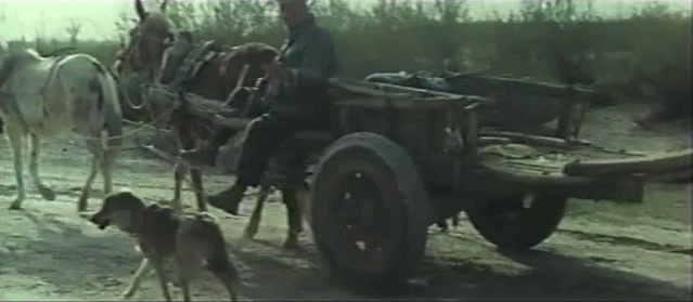 电影女儿谷剧情介绍，女儿谷大结局什么（这部国产禁片终于被找到）