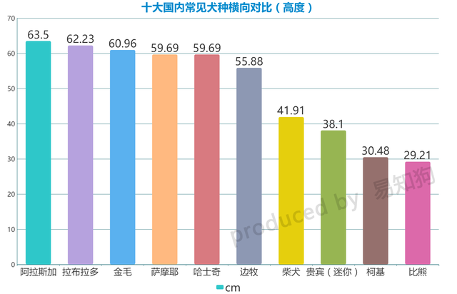 常见犬类品种大全，犬分类品种大全（国内十大流行犬种横向对比）