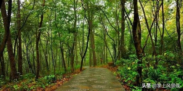 南京旅游景点，南京旅游景点排行榜前十名（推荐：南京八大免费景点）