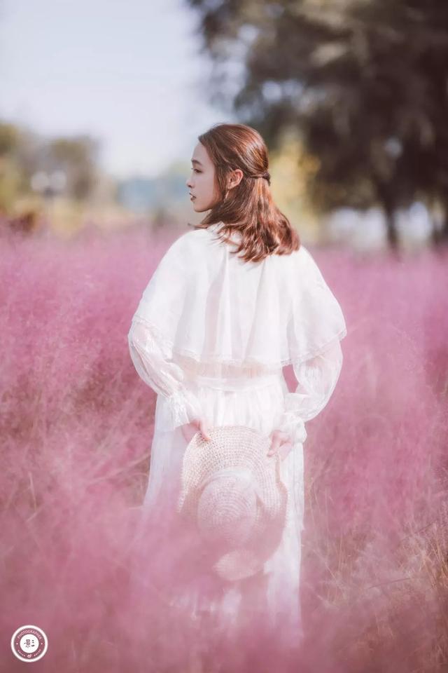 玛米亚奥特曼在线观看，玛米亚（都是因为热爱丨探图摄影师专访）