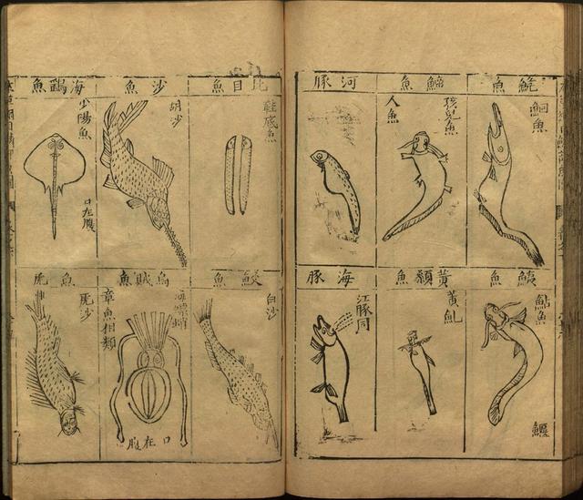 本草纲目全书带图，李时珍本草纲目全书（李时珍著《本草纲目》附图卷）