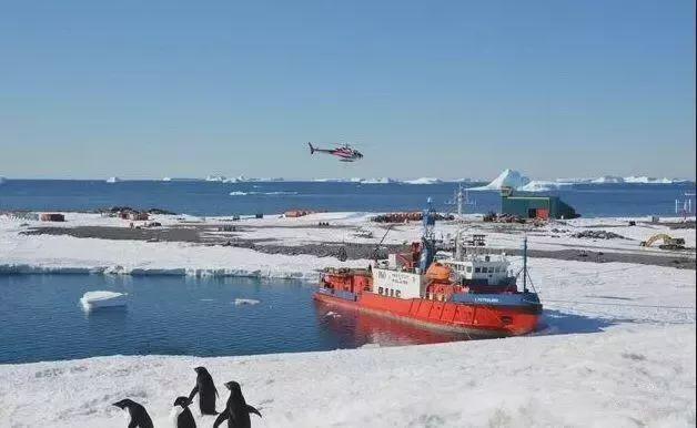 指南针红色的一头指向什么方向，指南针红色的一头指向什么方向蓝色（拿着指南针走到最南点后）