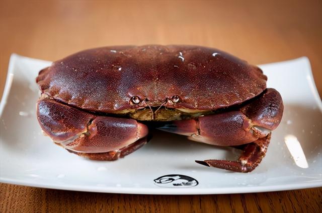 一只螃蟹几条腿，螃蟹有几条腿（还能凭实力吃掉鲨鱼）