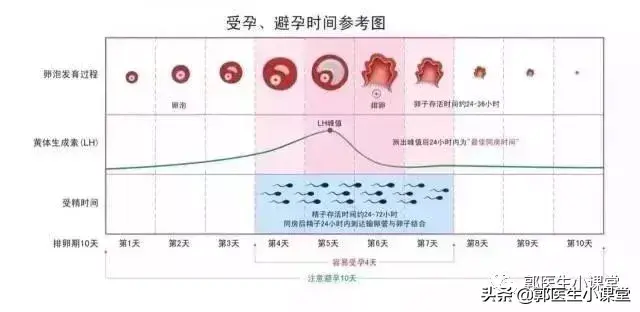 金秀排卵试纸准确吗(友约排卵试纸怎么样)