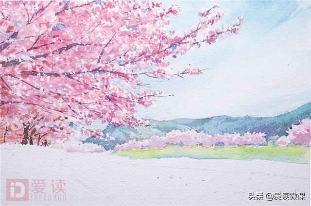 绘画系列之教你如何画简易樱花，樱花绘画简单（别再错过这篇樱花手绘教学啦）