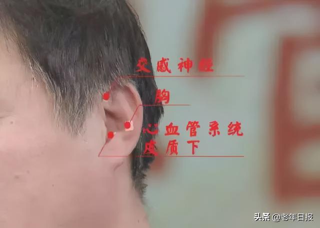 耳皮读什么意思是什么，耳朵皮读什么（降压、健脑、补肾精……别错过）